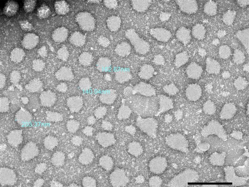 Nanostructured Therapeutic Carriers illustration